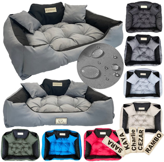2323a0292eda1db4f3aab2f1edc6f620