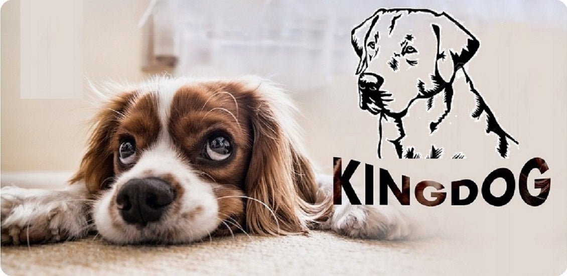 Legowisko dla psa kojec KINGDOG 75x65 cm personalizowane wodoodporne kości srebrne - | yesplease
